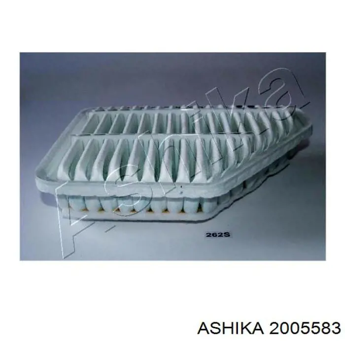 2005583 Ashika Воздушный фильтр двигателя