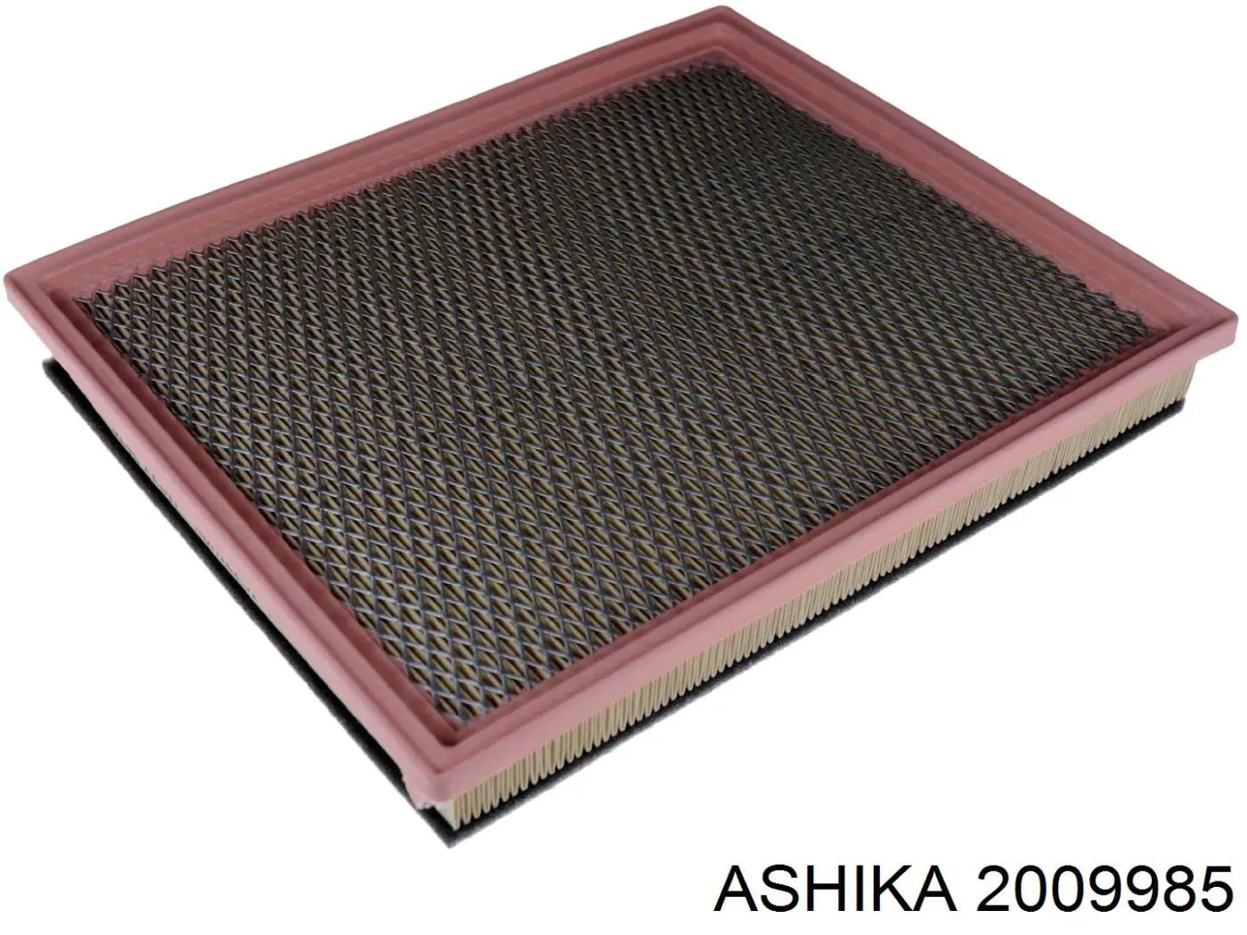 2009985 Ashika