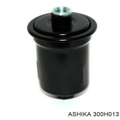 300H013 Ashika