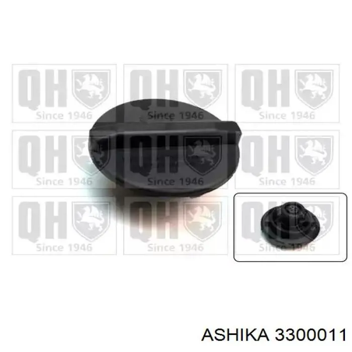 Пробка расширительного бачка Ashika 3300011