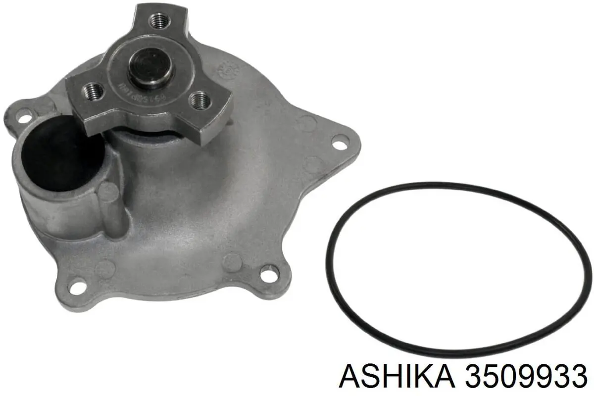 3509933 Ashika