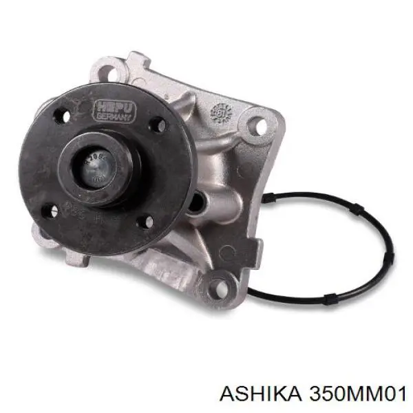 350MM01 Ashika