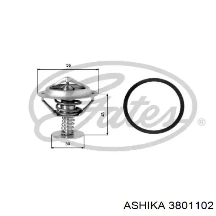 3801102 Ashika термостат