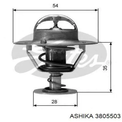 3805503 Ashika