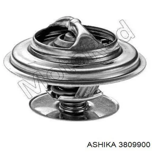 3809900 Ashika Авто термостат