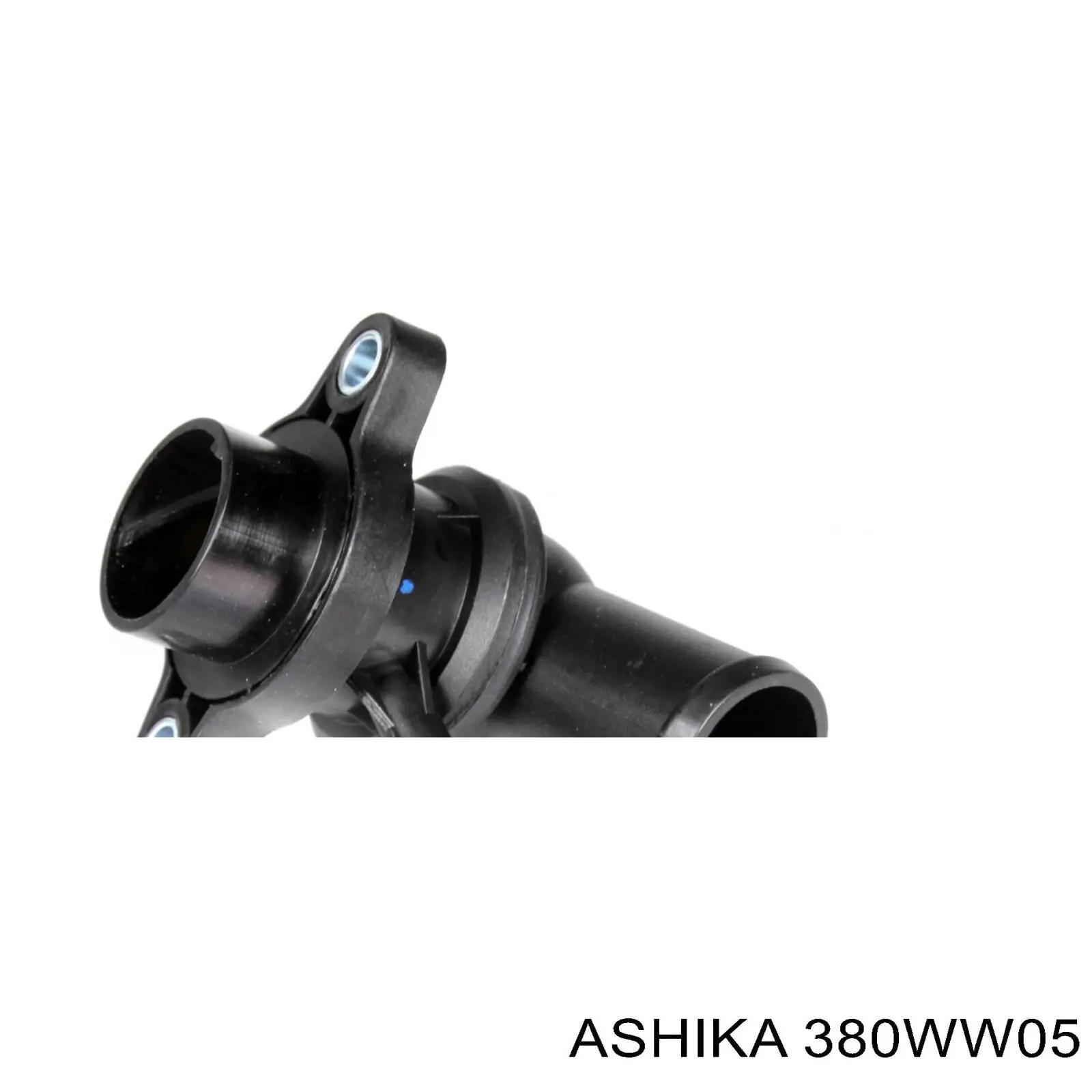 380WW05 Ashika