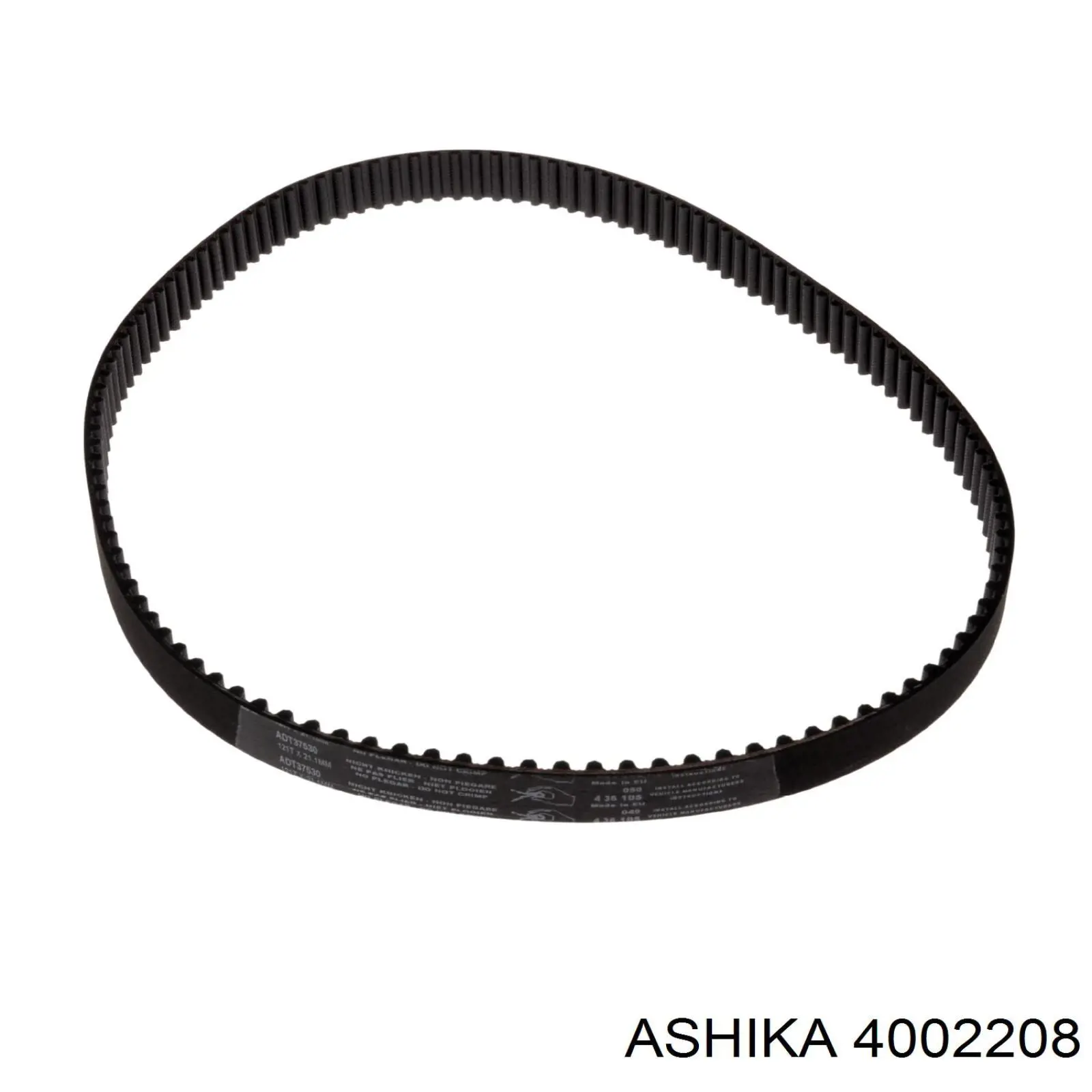 4002208 Ashika