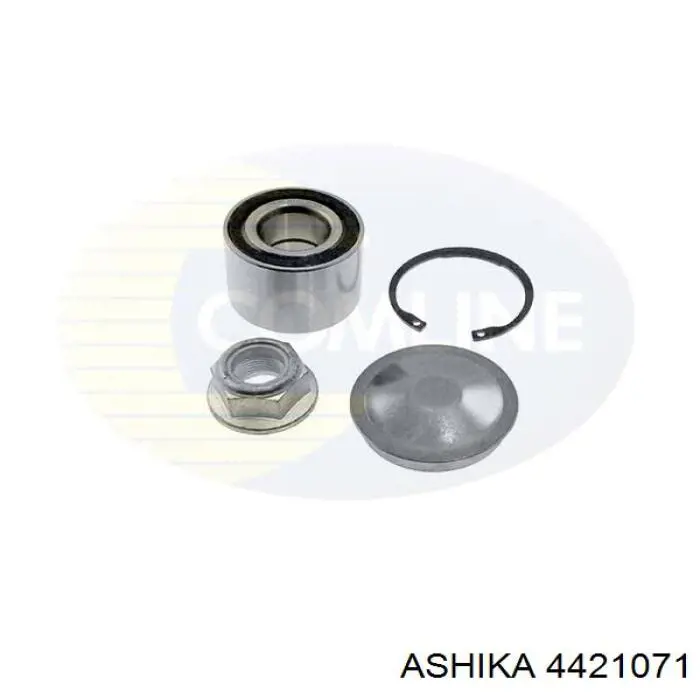 Задний подшипник Ashika 4421071