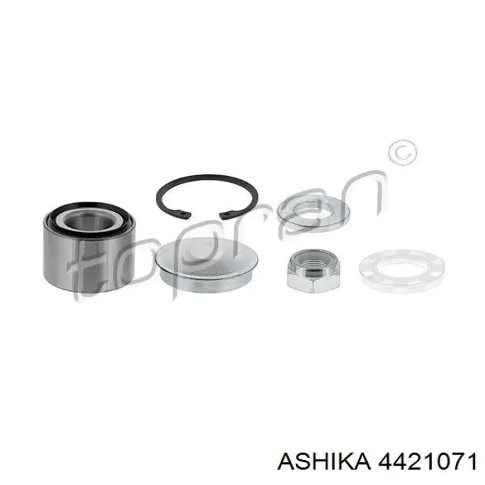 Подшипник задней ступицы 4421071 Ashika