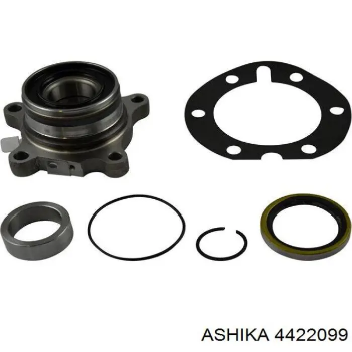 4422099 Ashika