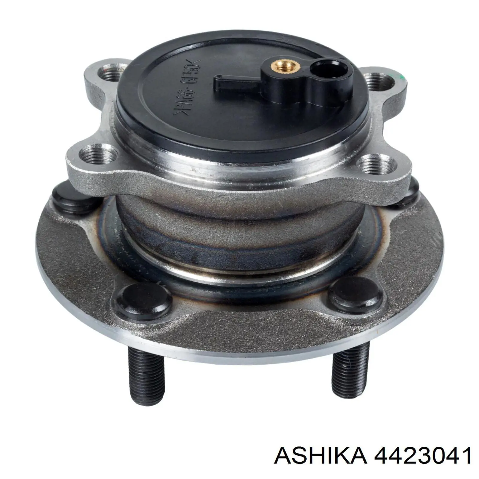 4423041 Ashika