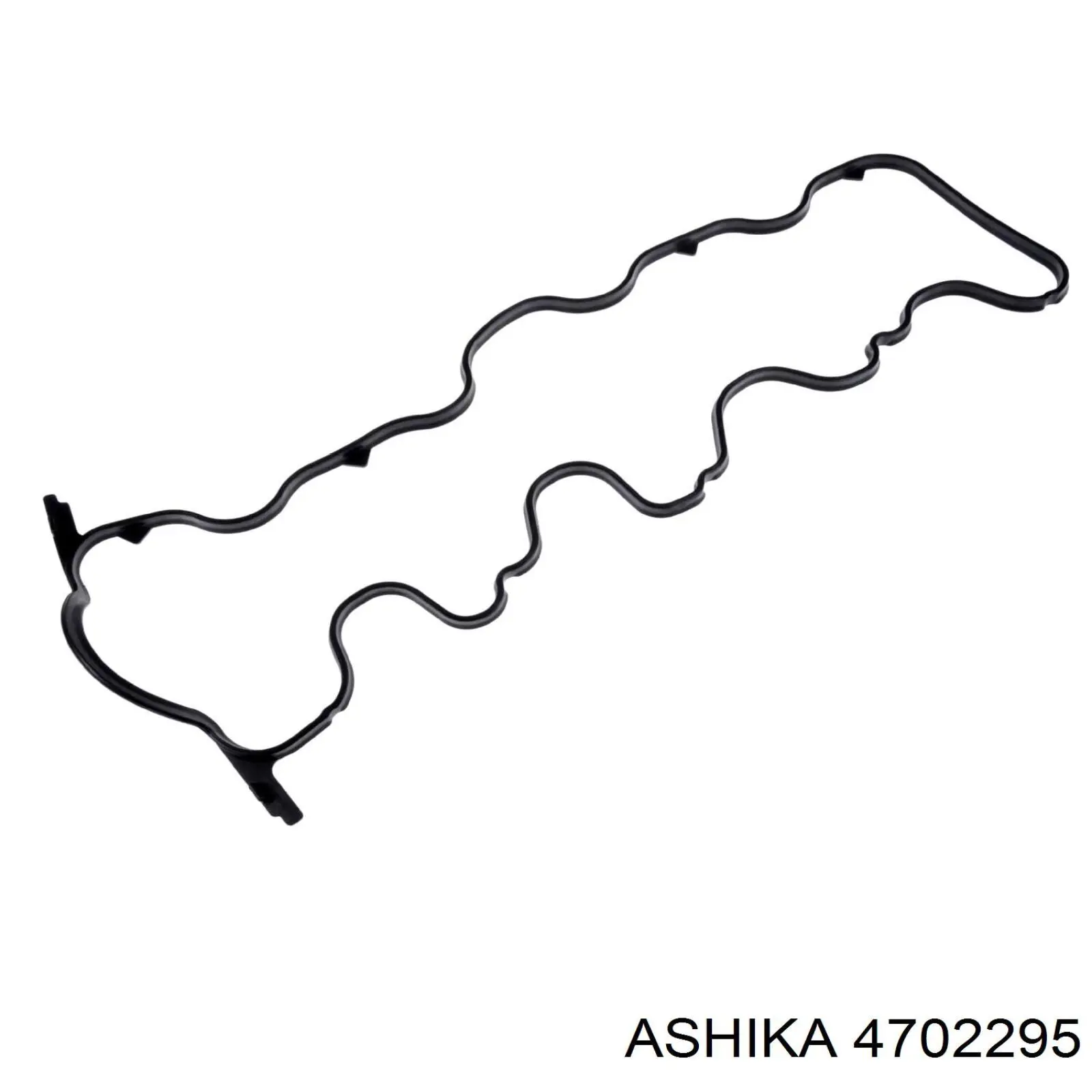 4702295 Ashika