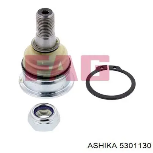 Купить 5301130 Ashika Нижняя шаровая опора