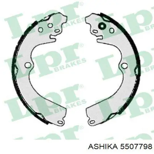 5507798 Ashika