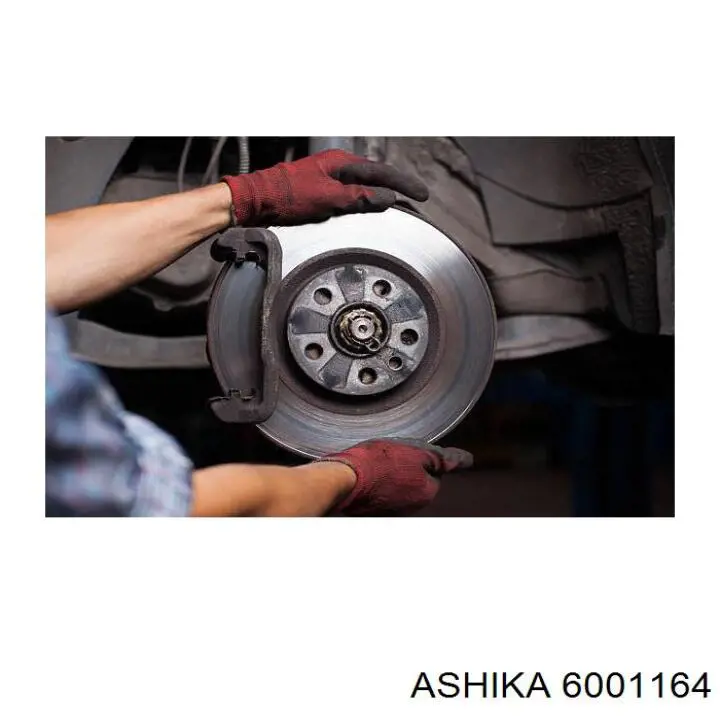 6001164 Ashika