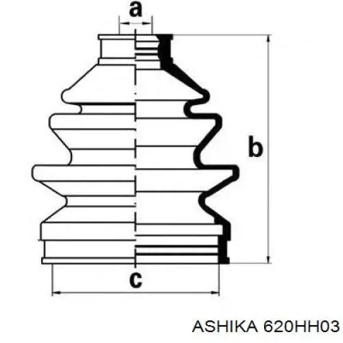 620HH03 Ashika