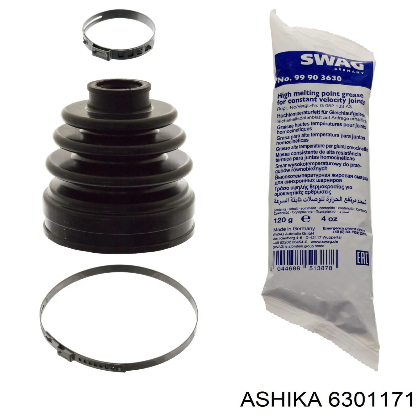 6301171 Ashika 