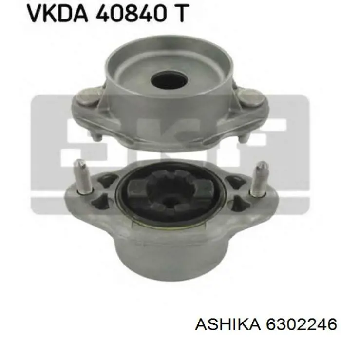  6302246 Ashika