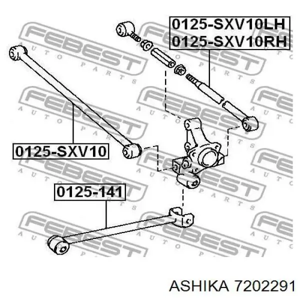 7202291 Ashika Продольный рычаг задней подвески, нижний