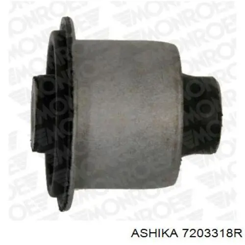 7203318R Ashika