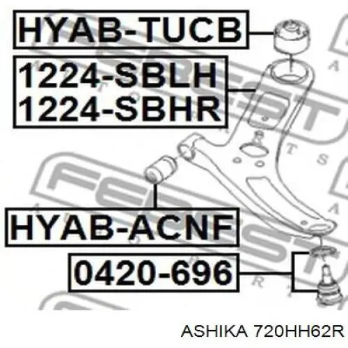 Рычаг передней подвески нижний правый 720HH62R Ashika