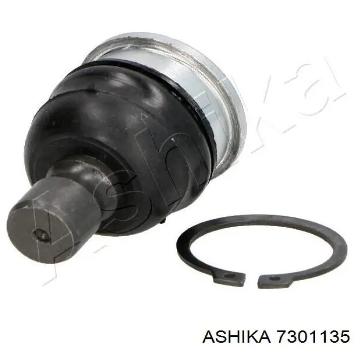 Купить 7301135 Ashika Нижняя шаровая опора