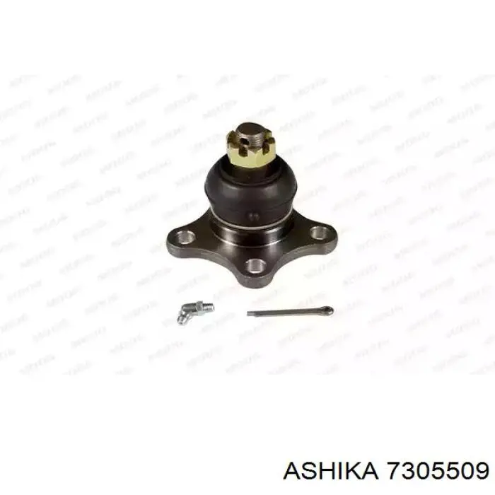 7305509 Ashika Верхние шаровые опоры