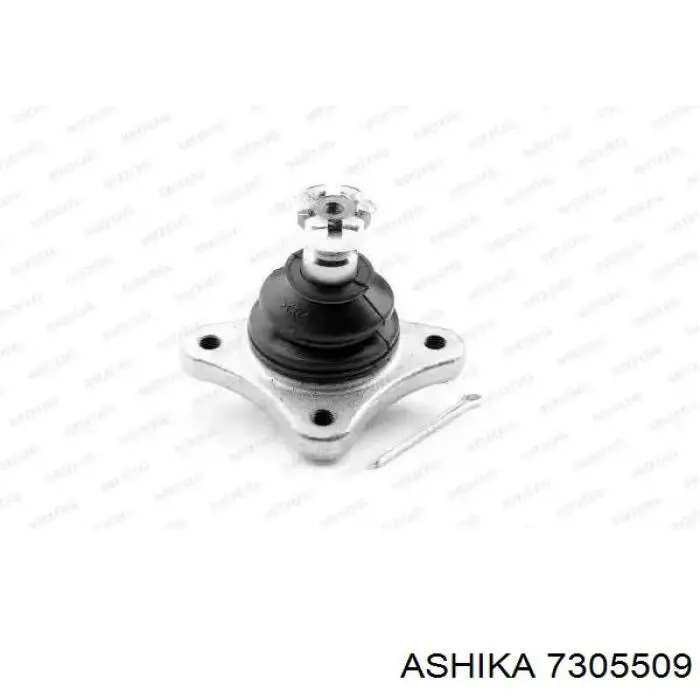 Верхняя шаровая опора Ashika 7305509 цена, от 13.94 USD