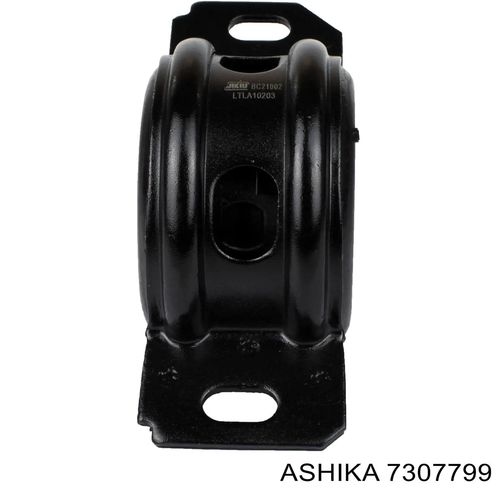 7307799 Ashika
