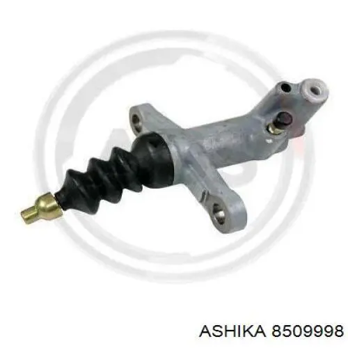 8509998 Ashika 