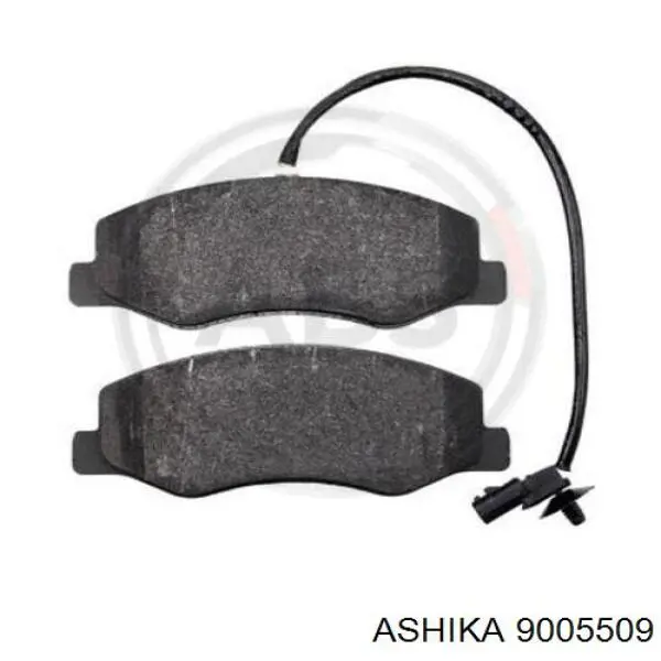 9005509 Ashika