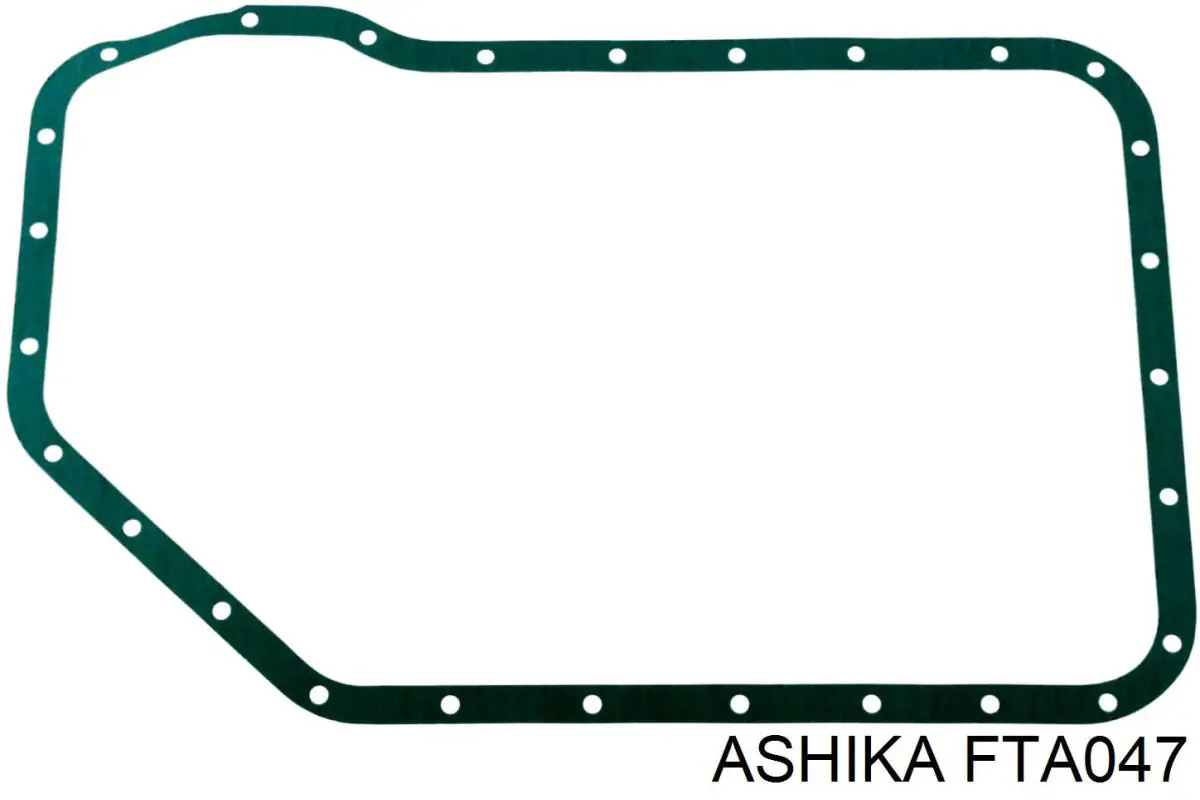 FTA047 Ashika