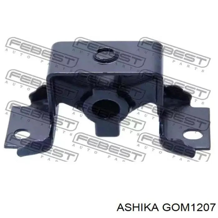 GOM1207 Ashika