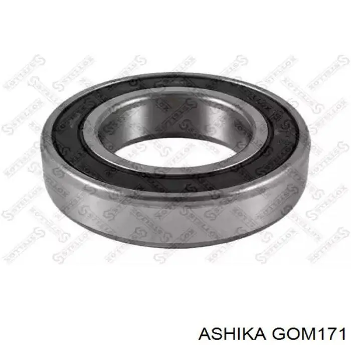 GOM171 Ashika