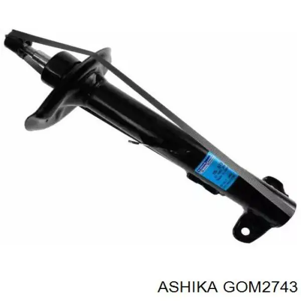  GOM2743 Ashika