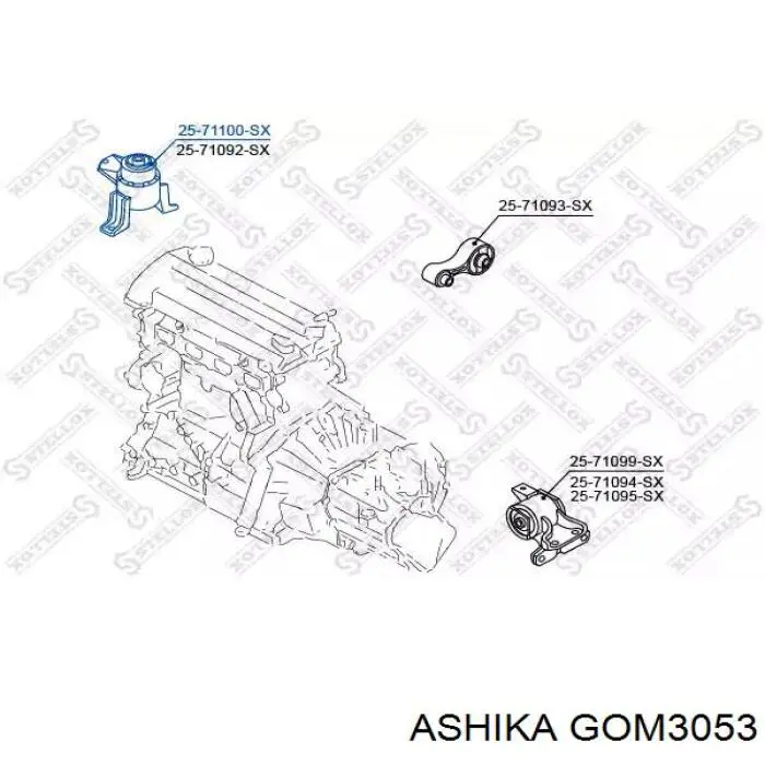 GOM3053 Ashika