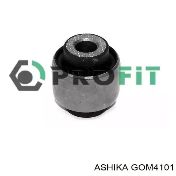 GOM4101 Ashika