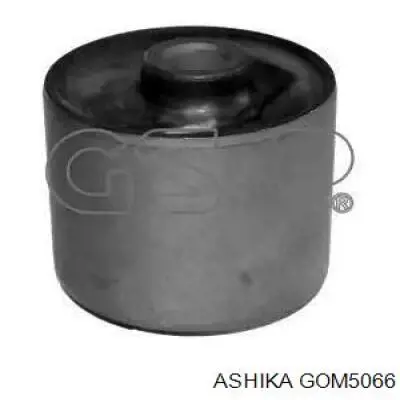 GOM5066 Ashika