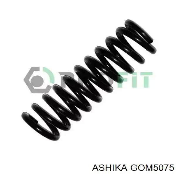 Сайлентблок заднего нижнего рычага Ashika GOM5075