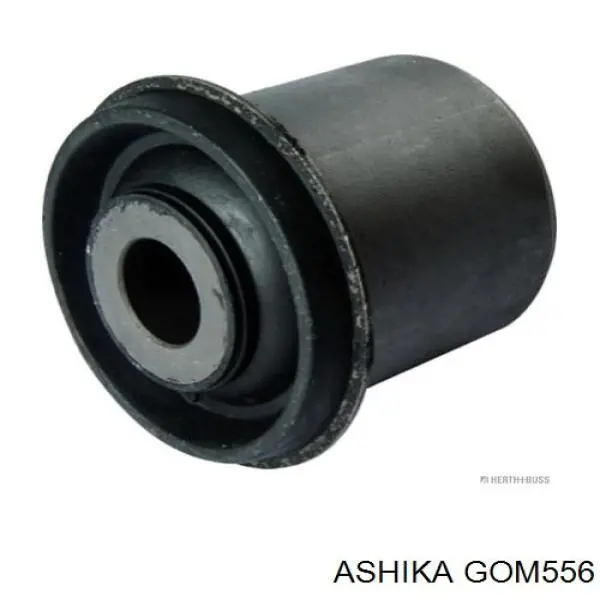 GOM556 Ashika