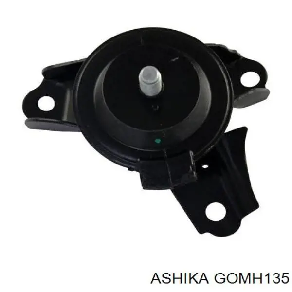 GOMH135 Ashika coxim (suporte direito de motor)