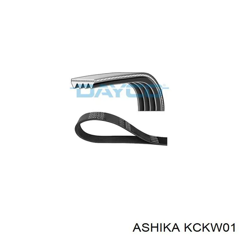  Ashika KCKW01 цена, от 113.34 USD