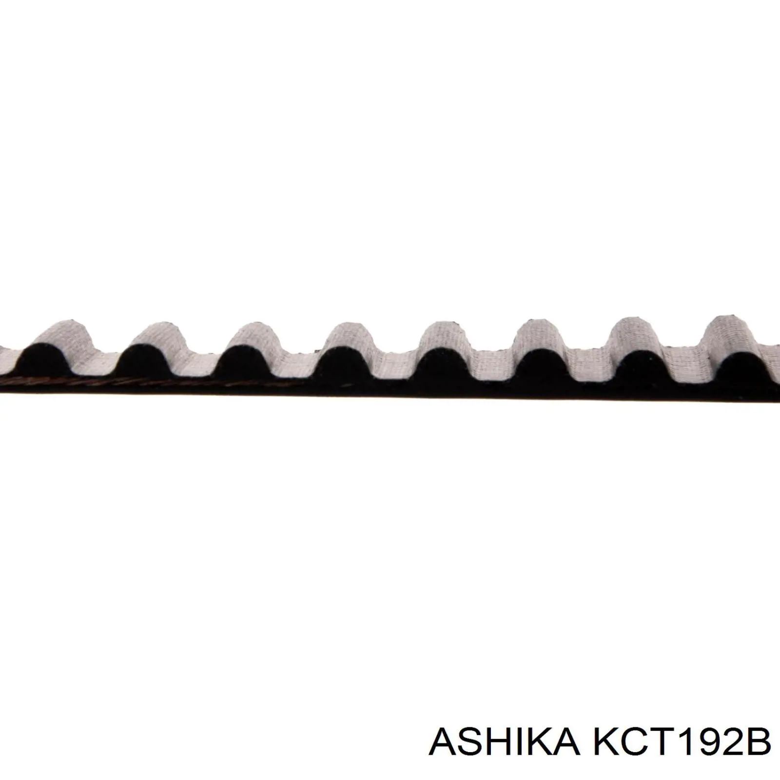 ГРМ ремни, комплект Ashika KCT192B цена, от 72.54 USD