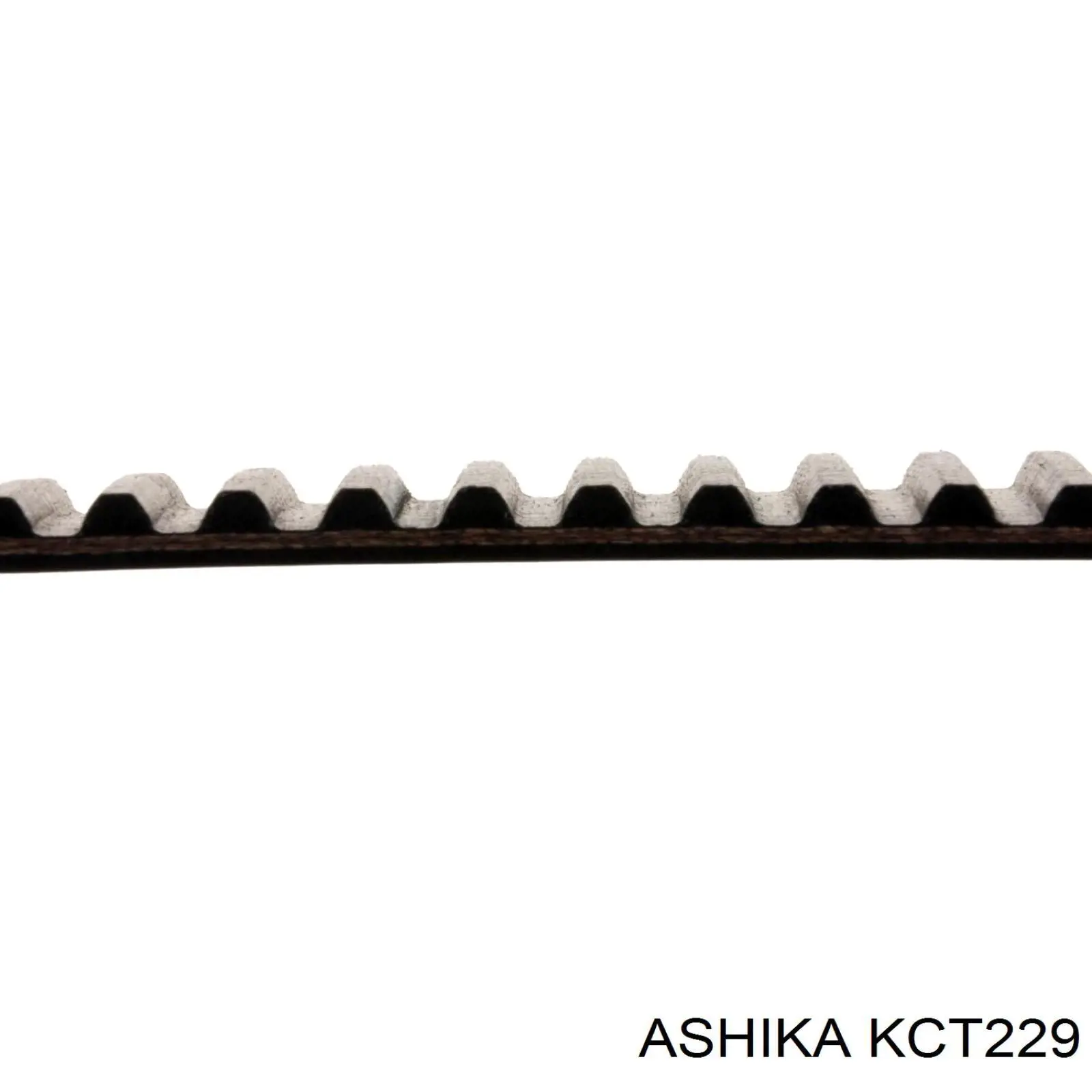 Купить KCT229 Ashika Комплект ГРМ