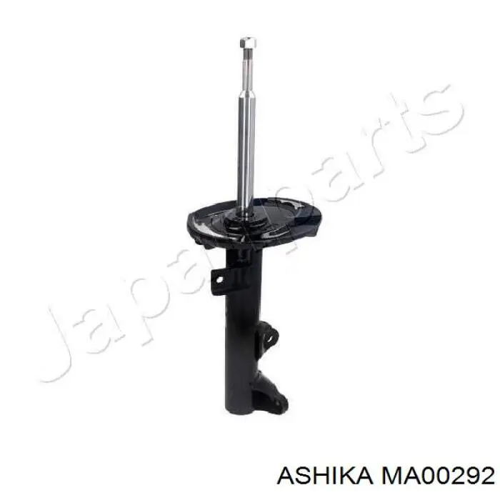 MA00292 Ashika