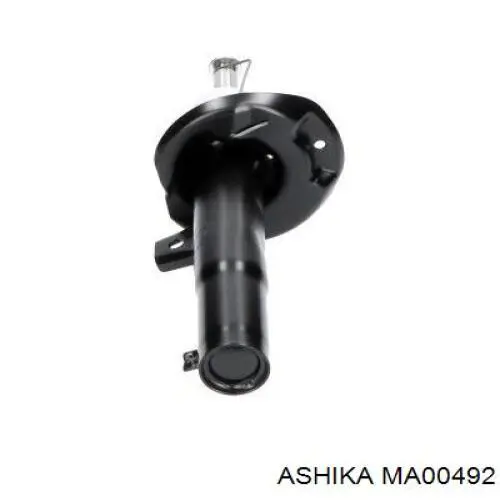 MA00492 Ashika