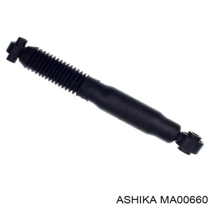 MA00660 Ashika