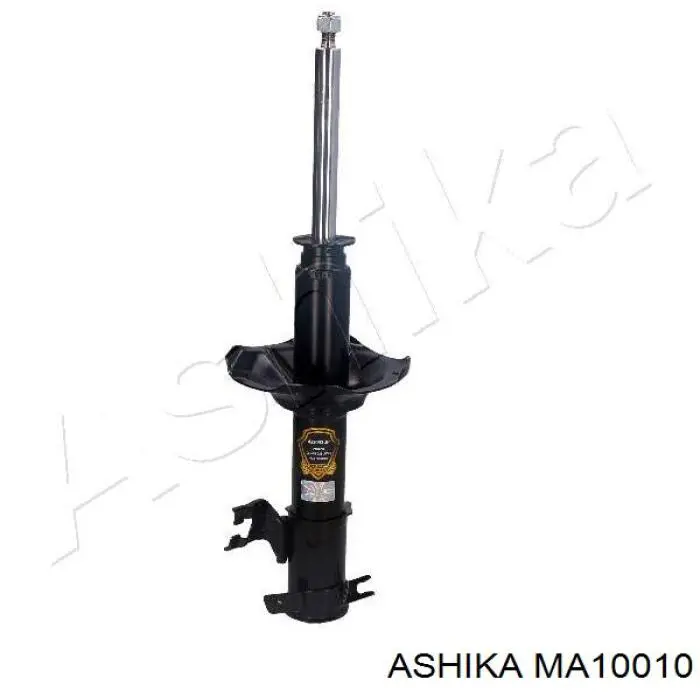 MA10010 Ashika 