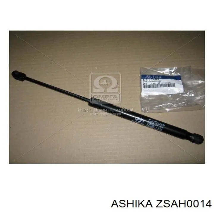 ZSAH0014 Ashika 