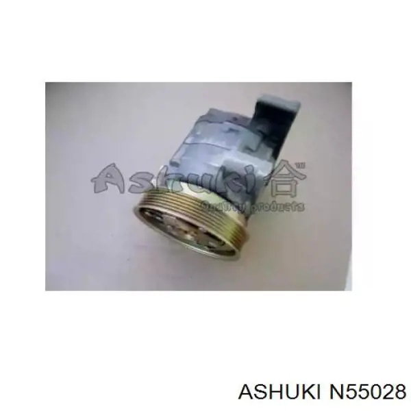 N55028 Ashuki 